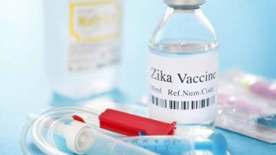 Aumentan trabajo para crear la vacuna contra el virus del Zika.