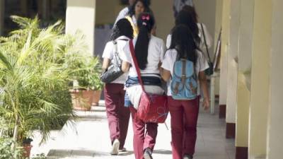 En la actualidad las escuelas normales del país tienen cerca de 800 docentes en formación.