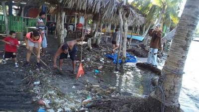 Propietarios de negocios se han involucrado en los operativos de limpieza delas playas.