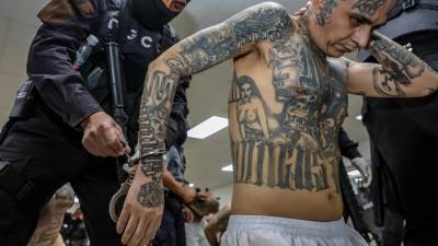 Fotografía cedida por el gobierno de El Salvador donde se registra el traslado de un pandillero al Centro de Confinamiento del Terrorismo (CECOT).