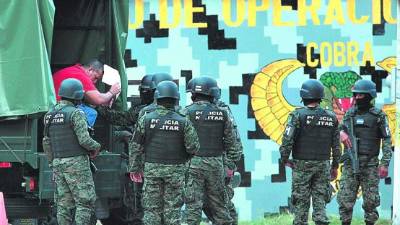 Los Tigres permanecen en los Cobras.