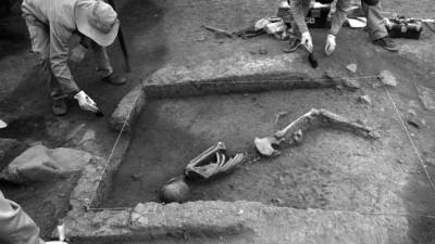 Los especialistas también hallaron entierros de camélidos sudamericanos, que se trataría de una ofrenda en pozo circular, la más antigua hallada en el Cusco. AFP