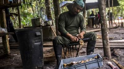 Las zonas donde estaba previsto que a fin de año se concentraran las Farc para dejar sus armas, aún no están listas. Foto: AFP/Luis Acosta