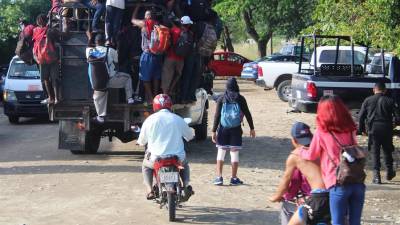 Migrantes centroamericanos viajan sobre camiones hoy, en el municipio de Mapastepec en el estado de Chiapas.