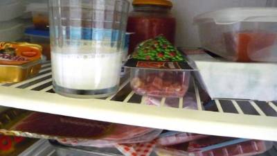 Alimentos conservados en una nevera. EFE/Archivo