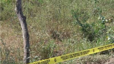 Foto cortesía de Radio América.