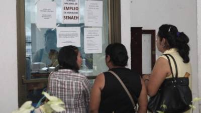 Centenares de hondureños asisten diariamente al Servicio de Empleo de la Secretaría de Trabajo. Foto: Andro Rodríguez.