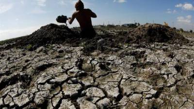 Un agricultor filipino cava un hoyo de una zona reseca en busca de agua para sus plantas en la ciudad de Taguig, sur de Manila (Filipinas). EFE/Archivo