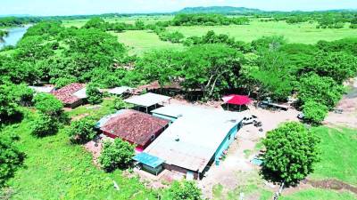 Esta finca fue asegurada por elementos de la Atic en la aldea Angelitos, en El Triunfo, departamento de Choluteca.