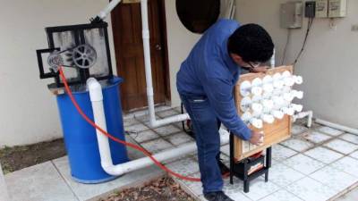 40 investigadores están siendo apoyados y asesorados por el Instituto Hondureño de Ciencia, Tecnología y la Innovación (Ihcieti), según las autoridades.