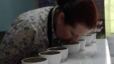 Jueces de 11 nacionalidades diferentes serán los encargados de evaluar la calidad de los granos participantes.