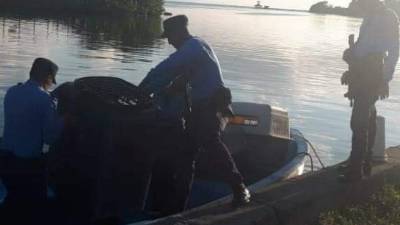 En la imagen, momento en que las autoridades trasladan a los animales.