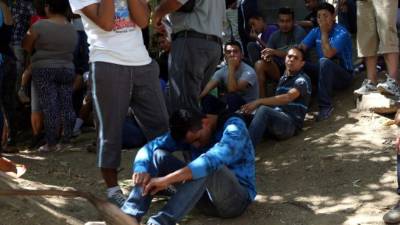 El joven cortaba unas varas de carrizo que utilizarían en un campamento cristiano de su iglesia.
