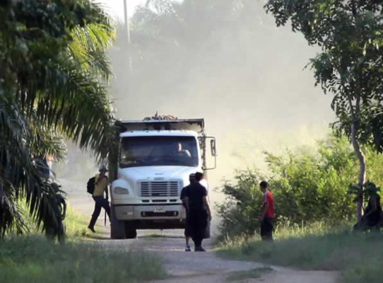 Foto de Archivo de grupo de campesinos en el Bajo Aguán.