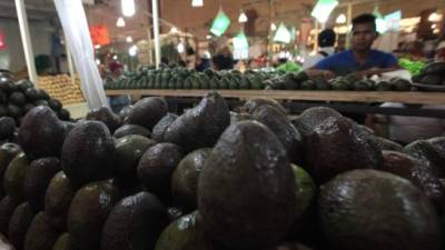 Los productores mexicanos reaccionaron indignados ante el rechazo de más de 100 toneladas de aguacate por EUA. EFE.