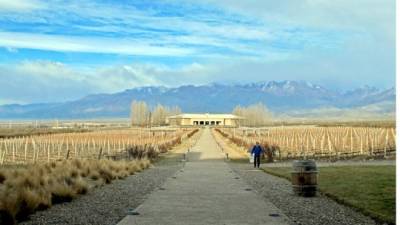 Mendoza es una de las grandes capitales mundiales del vino junto con San Francisco y el valle de Napa, en Estados Unidos; Bilbao y la Rioja, en España; Oporto, en Portugal; Burdeos, en Francia; Florencia, en Italia y Ciudad del Cabo, en Sudáfrica.