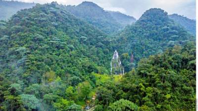 Una poesía de montañas siempre verdes, acariciadas a diario por el sol y la lluvia, y cobijadas a momentos por la niebla, así es el Paisaje Cultural Cafetero de Colombia, Patrimonio de la Humanidad por la Unesco desde 2011.