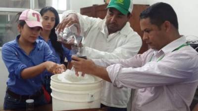 Técnicos enseñan a tomar muestras en la miel.