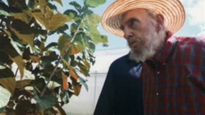 This picture released by Cubadebate on its website early Monday Oct. 22, 2012 shows Cuban leader Fidel Castro in Habana, Cuba, Sunday Oct. 21, 2012. Castro has written Sunday an article in state-media criticizing those who spread rumors he was on his death bed. Persistent rumors circulated last week that the former Cuban leader was on his deathbed or had suffered a massive stroke.(AP Photo/Alex Castro, Cubadebate)