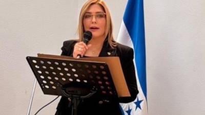 La exconsejera del Consejo Nacional Electoral (CNE) y actual embajadora de Honduras en España, Ana Paola Hall, negó haber solicitado al presidente Nasry Asfura el cargo diplomático y respondió a los cuestionamientos surgidos tras su nombramiento.