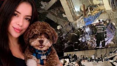 Abogada muere abrazando a su perrito durante el terremoto en Colombia