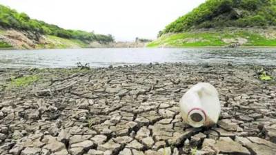 Las medidas incluyen información climática para productores, apoyo al sector ganadero y entrega de ayuda alimentaria en las zonas más afectadas.