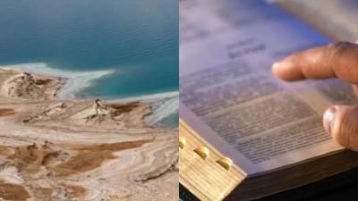 La aparición de pozas de agua dulce en las inmediaciones del Mar Muerto ha despertado el interés de científicos y de miles de personas en redes sociales, luego de que se informara sobre este inusual fenómeno registrado en una de las regiones más salinas del planeta.