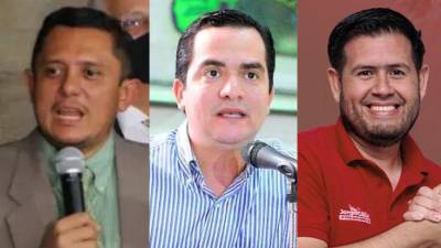 Rostros conocidos encabezan la elección de diputados en el departamento de Santa Bárbara, de acuerdo con los resultados divulgados este martes por el Consejo Nacional Electoral (CNE). Algunos están logrando la reelección.