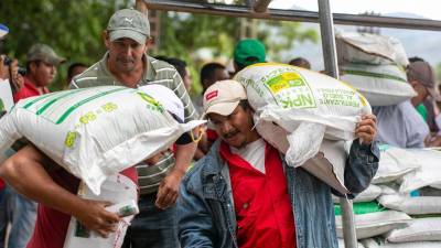 Productores de la zona del corredor seco reciben semillas mejoradas, como parte del Bono Tecnológico Productivo.