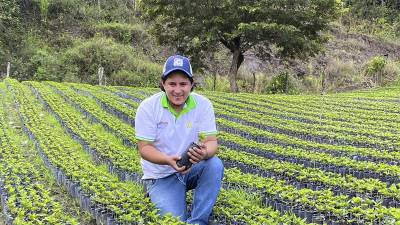 La alianza estratégica entre COMILL y Agronegocios Sostenible ha mejorado significativamente la asistencia técnica brindada a los productores.