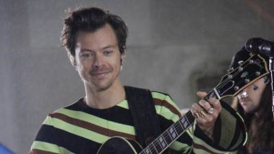 El cantante Harry Styles.