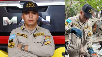 Perros, gatos, serpientes y tacuacines forman parte de los rescates que atiende junto a sus compañeros, mientras promueve entre los niños el respeto por la vida y la preparación ante emergencias.
