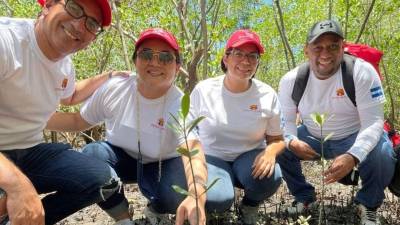 Más de 60 mil asegurados respaldan la regeneración ecológica, la biodiversidad y la creación de empleos verdes en Honduras, Costa Rica y El Salvador.