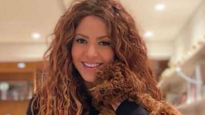 Shakira reaparece y hace conmovedora declaración de amor