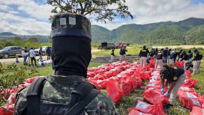 Vista de la droga a incinerar por agentes de la Policía Militar del orden Público.