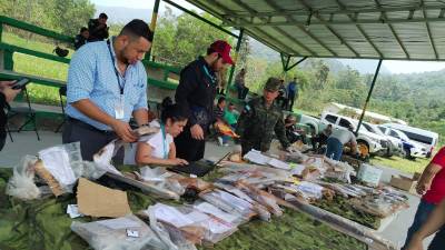 En el Cuarto Batallón en el municipio de San Francisco, Atlántida, se destruyeron 44 armas de fuego de casos ya sentenciados en los tribunales de La Ceiba y Tela, en el departamento de Atlántida.