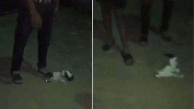 Exigen que se identifique a los responsables.