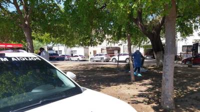 Fotografía del 4 de agosto de 2023, que muestra a peritos periciales, policías municipales en el levantamiento de un cuerpo en situación de calle en un parque de la ciudad de Hermosillo, Sonora (México). EFE/Daniel Sánchez.