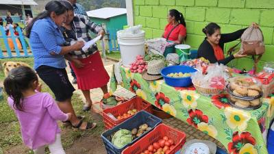 El programa fomenta una mayor sostenibilidad en la producción agrícola, como el café y otros cultivos tradicionales.