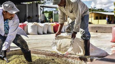 El sector cafetalero requiere inversión en las carreteras y acceso a fincas.