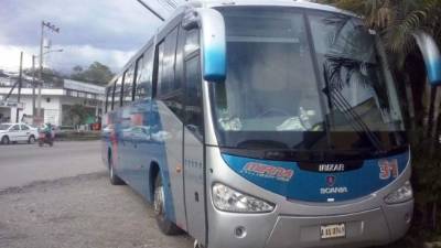 La supuesta droga fue encontrada en el maleterio del bus.