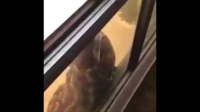 Fotograma del video.