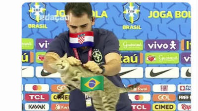 “La maldición del gato”, así denominaron muchos en los memes a la eliminación del Mundial.