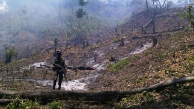 Los incendios han causado graves daños, por lo que militares resguardan las zonas.