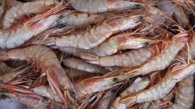 La participación en la feria internacional de pesquería en China es un paso clave en la estrategia para promover la exportación.