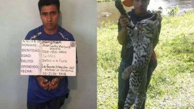 El hombre será puesto a la orden de las autoridades correspondientes por daño a la fauna nacional.