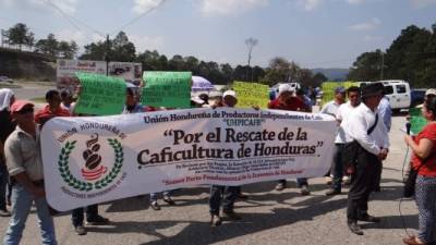 Los productores aseguran que se encuentran en calamidad, incluso por las vías dañadas. Foto: Mariela Tejada