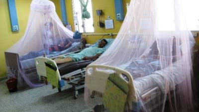 Las autoridades de Honduras buscan frenar la epidemia de dengue en el sur de Honduras. Foto: Archivo.
