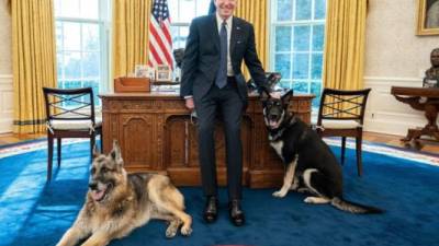 Biden junto a sus mascotas, Champ y Major en la oficina oval de la Casa Blanca./