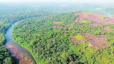 Fotografía aérea del río Plátano | Archivo